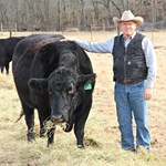 Cattle producer with cow