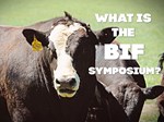 BIF News