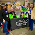 CattleWomen