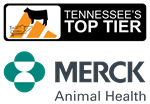 TTT and Merck Logos 3